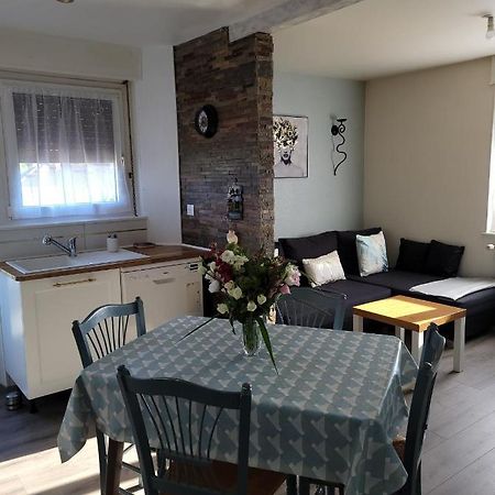 Appartement Au Cigogneau Wifi-Netflix-Balcon-Parking Munster  Exterior photo
