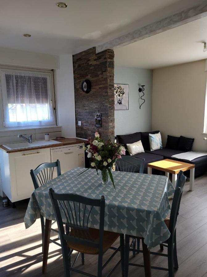 Appartement Au Cigogneau Wifi-Netflix-Balcon-Parking Munster  Exterior photo